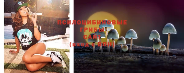 твердый Армянск