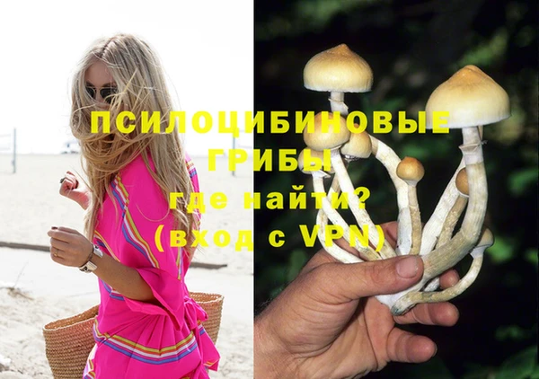твердый Алексеевка
