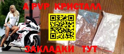 герыч Кингисепп