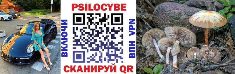Псилоцибиновые грибы MAGIC MUSHROOMS  Лениногорск 