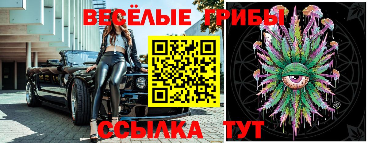 Лениногорск  Псилоцибиновые грибы Psilocybe  Галлюциногенные грибы прущие грибы  Вход с VPN 