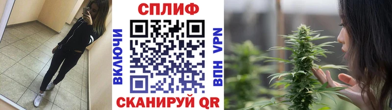 Бошки Шишки семена  даркнет сайт  Лениногорск 