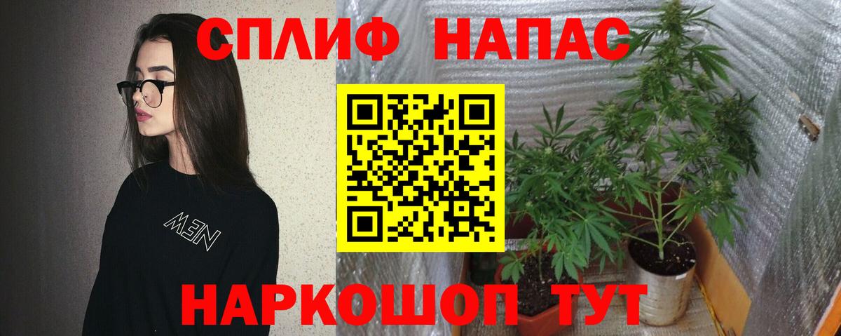 МАРИХУАНА гибрид Лениногорск